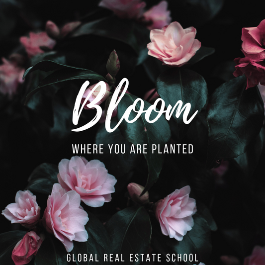 Bloom where you are planted!