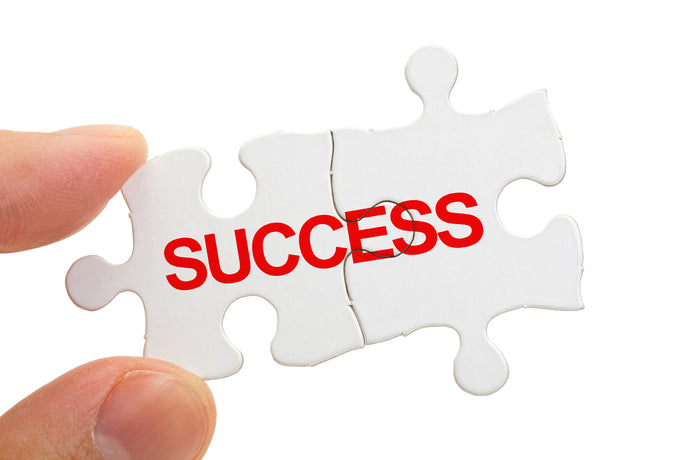 Six-Figures to Success